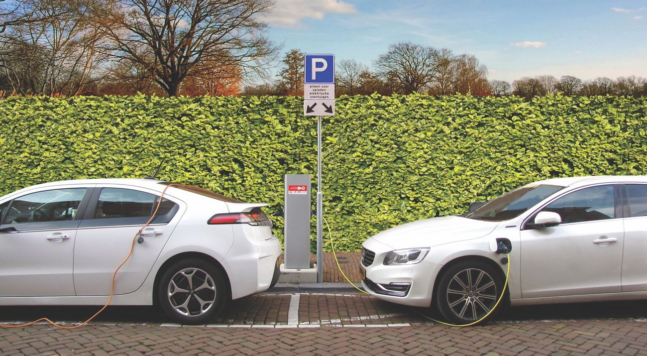 Two white electric vehicles are parked and connected to a charger with a green shrub behind them.