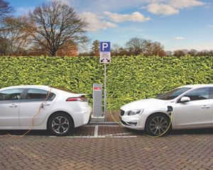 Two white electric vehicles are parked and connected to a charger with a green shrub behind them.