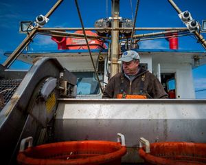 A fisherman on a New England commercial fishing vessel checks his nets as a fixed video camera records the work.