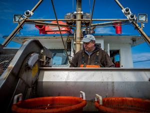 Christopher Brown, who captains the Proud Mary based out of Rhode Island, sorts fish as electronic monitoring cameras are visible behind him.