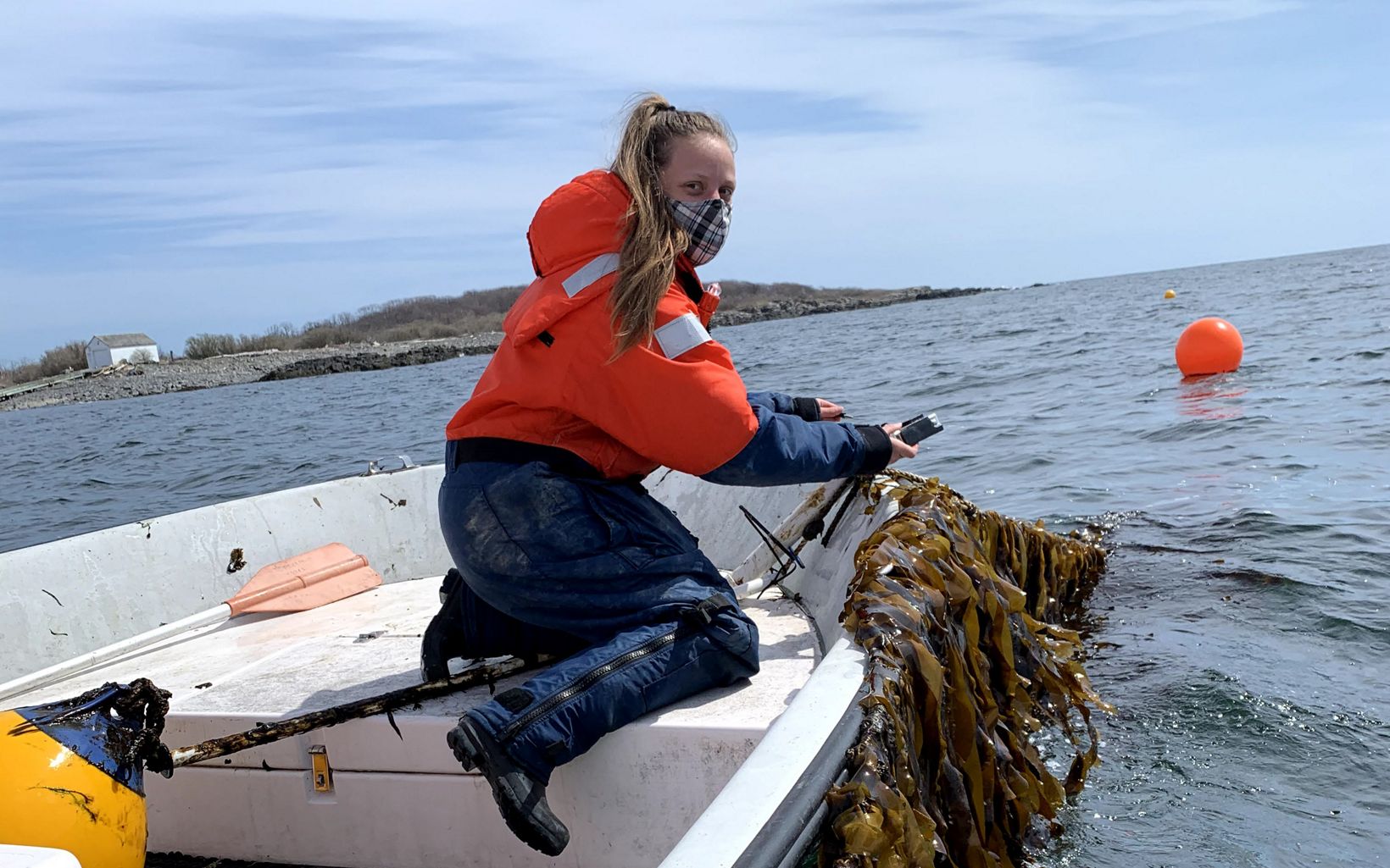 A woman in a boat holds a line with kelp growing on it.