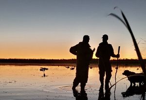 Two people in silhouette against a sunrise standing in a wetland with a dog nearby and ducks in the water.