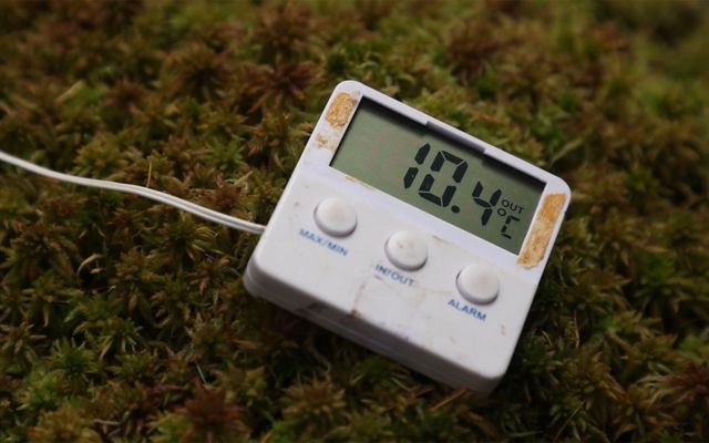 an emissions monitoring device nestled on a bed of sphagnum mosses.