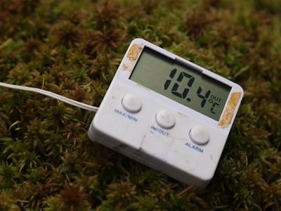 an emissions monitoring device nestled on a bed of sphagnum mosses.