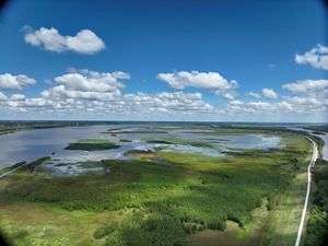 Drone shot of Emiquon Preserve, a wetland in central Illinois. 