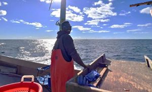A young scientist wearing orange chest waders stands at the railing of a small fishing boat at sea under a tall offshore wind turbine.