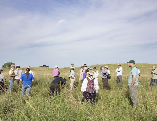 A group of people stand together on the prairie observing small mammals.