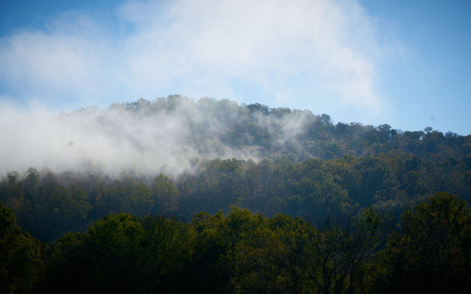 Edge of Appalachia Preserve Mist rises up through the forest and over the hills of the preserve, making this a nature photography destination. © TJ Vissing