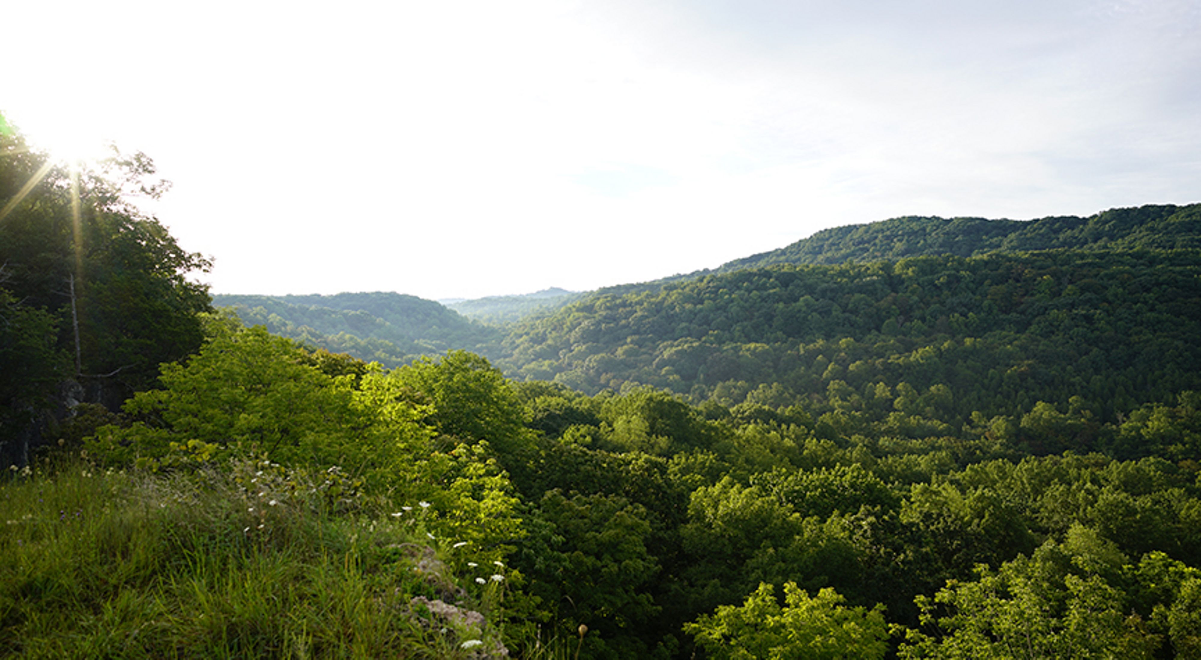 The morning sun shines over miles of overlapping forested hills with summer green foliage.