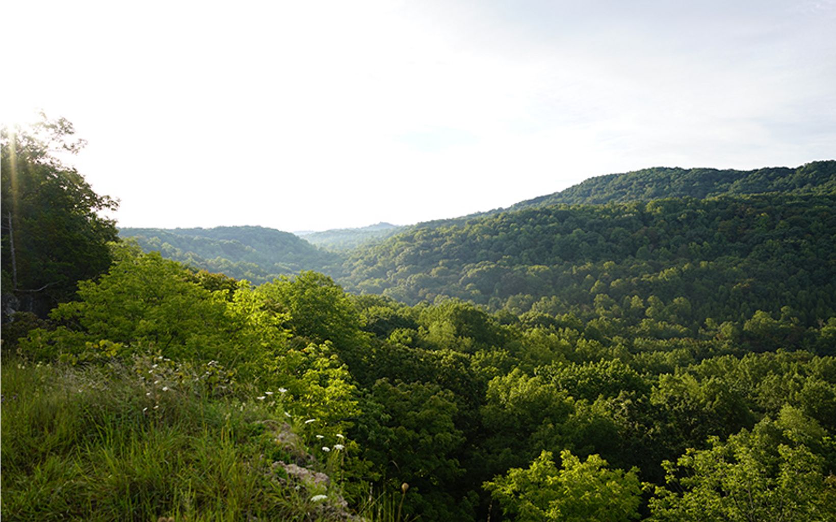 Looking over the hills of Southern Ohio that are covered in lush green forests on a sunny day.