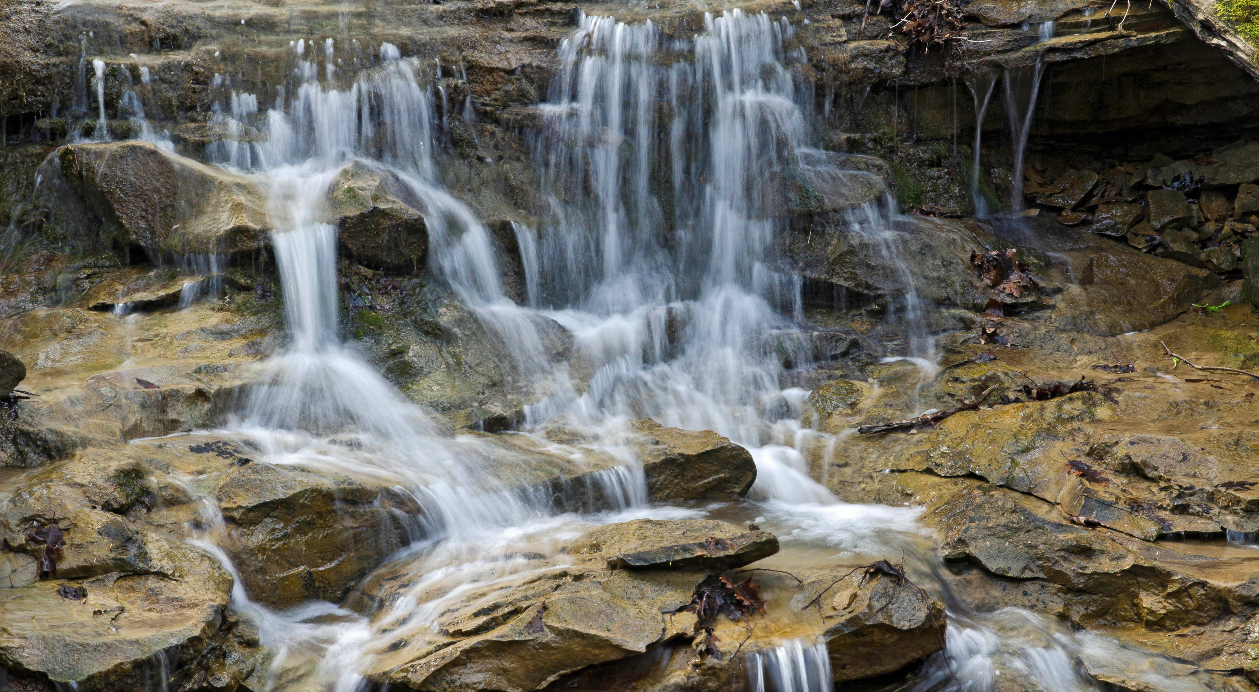 Located along the Wilderness Trail of the Edge of Appalachia Preserve, Ohio.