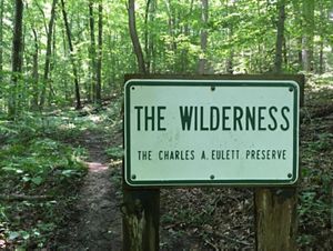 Wilderness Trail signage in a forest.