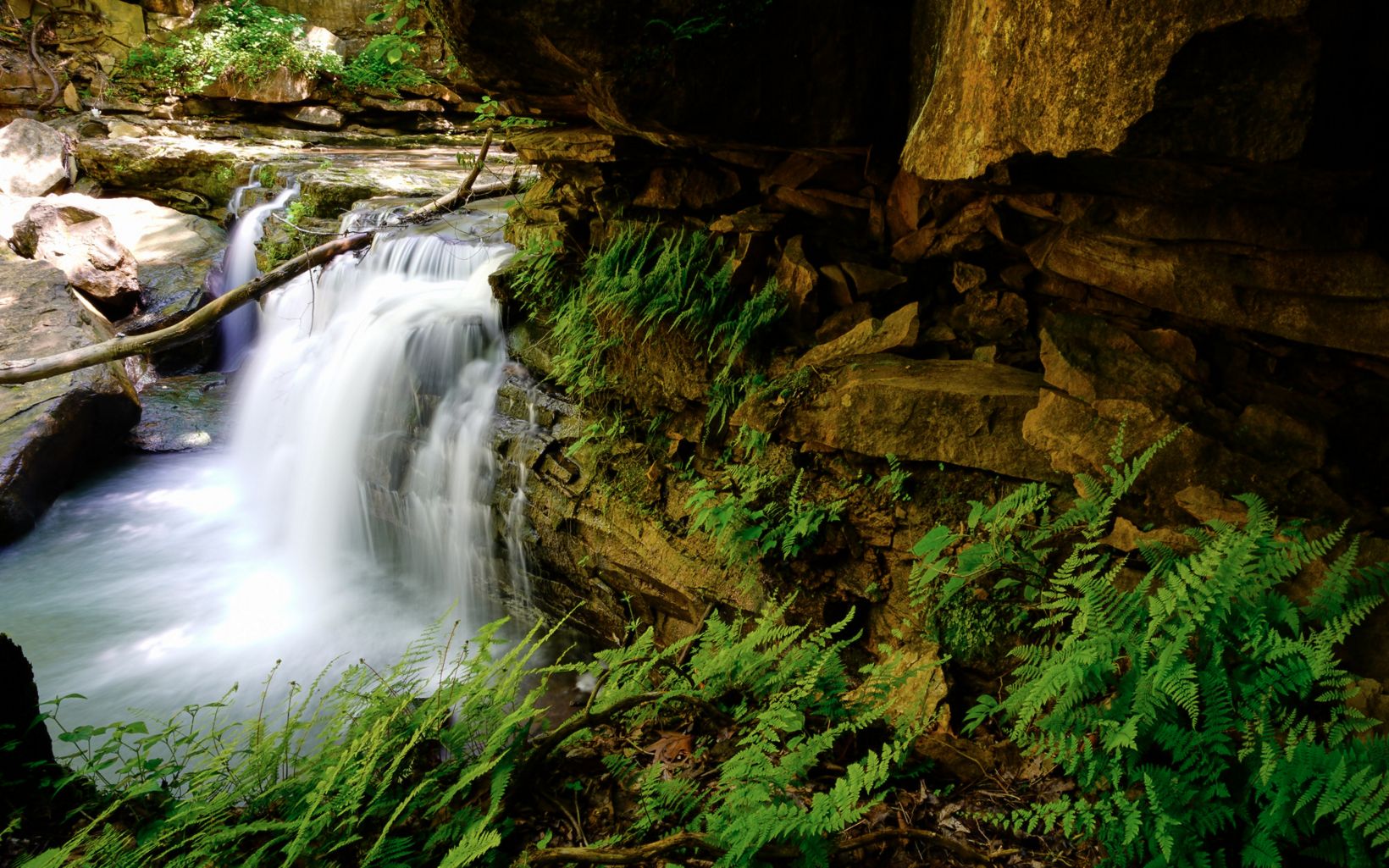 Cedar Falls Cedar Falls is a 15-foot waterfall that flows over a series of limestone ledges. © TJ Vissing