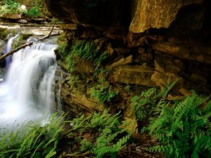 Waterfall in an Appalachian forest