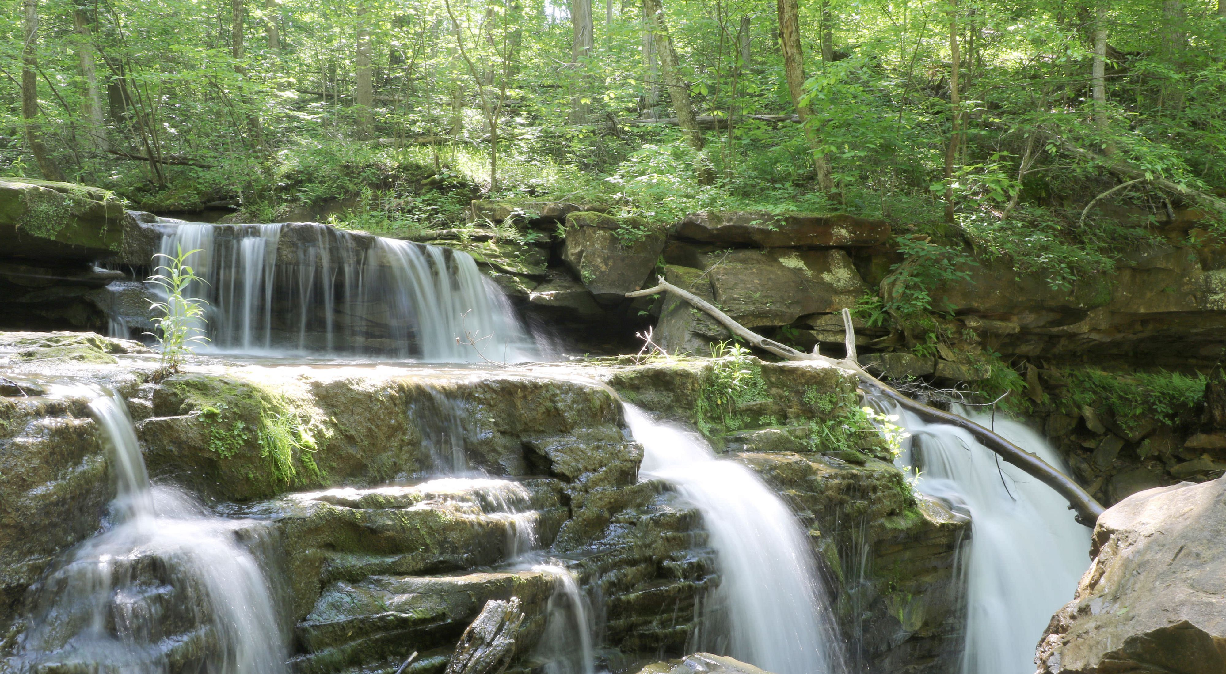 Water cascades over large rocks down a waterfall surrounded by forest dappled with sunlight.