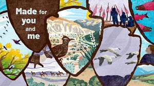 Illustration showing sign-shaped tiles with different drawings inside, such as birds flying, a national park landscape and salmon swimming. 