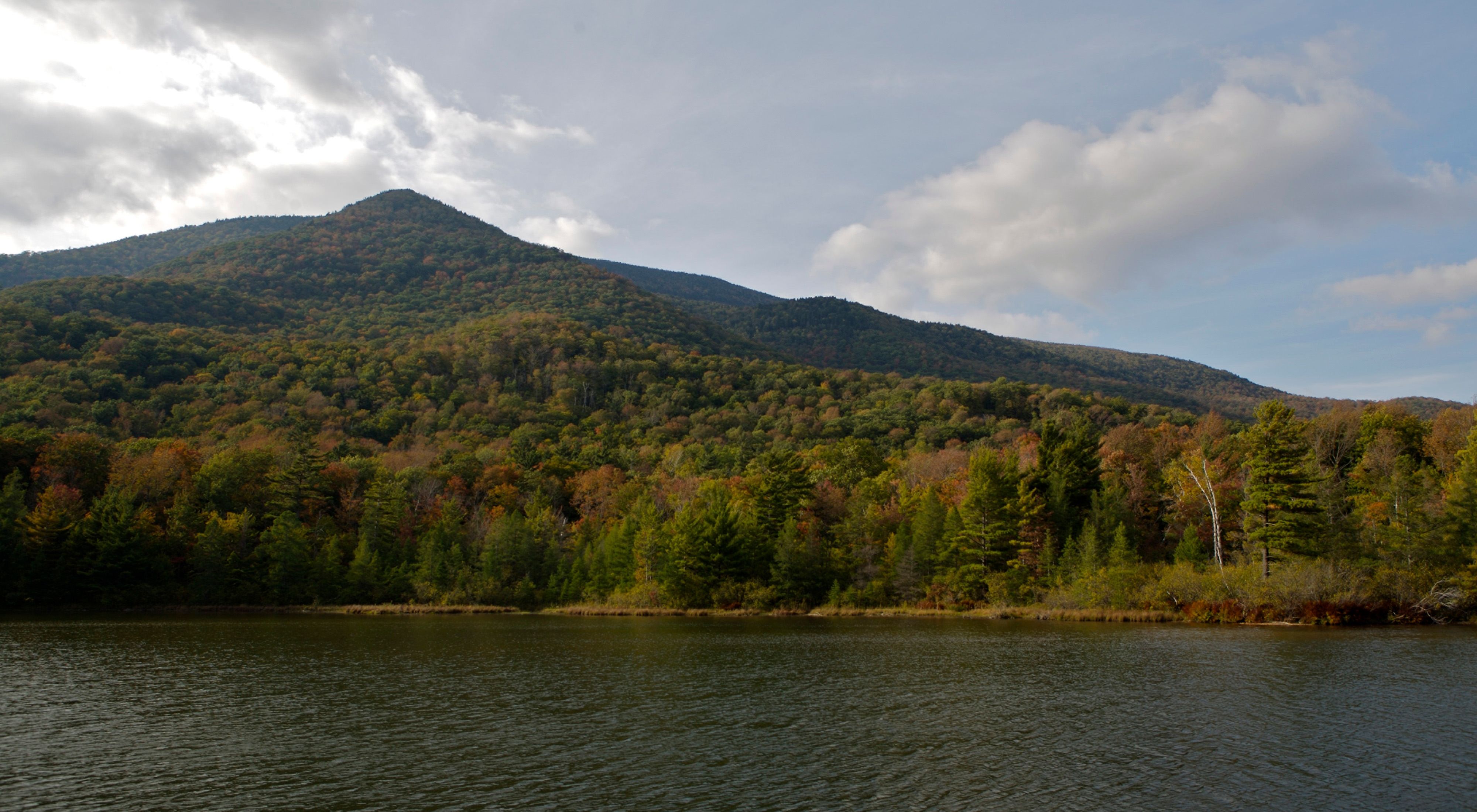 A lakeshore and sloping hillside covered in trees showing fall colors.