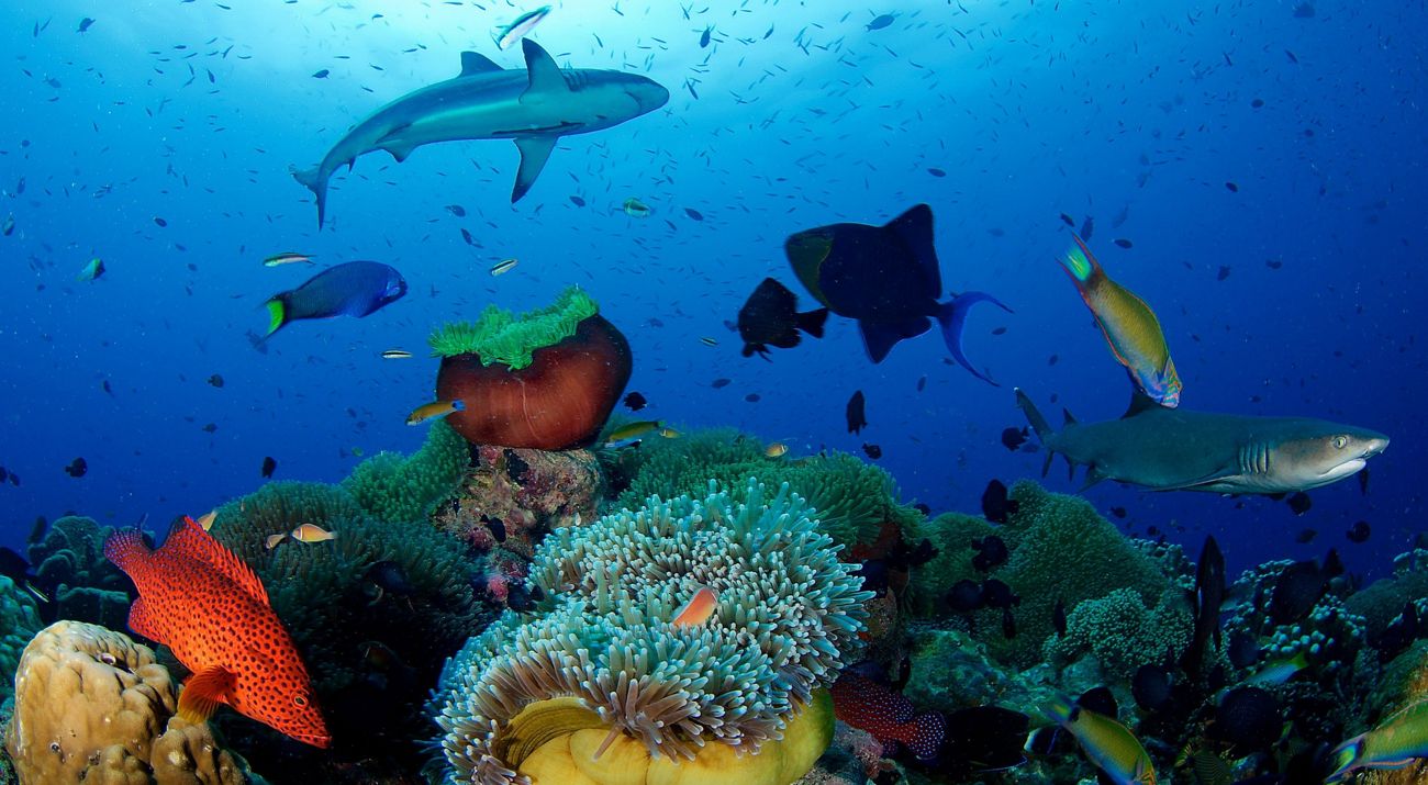 Eric_Madeja_Papua_New_Guinea_3982_x_2655