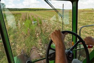 A farmer steering a tractor through fields of corn