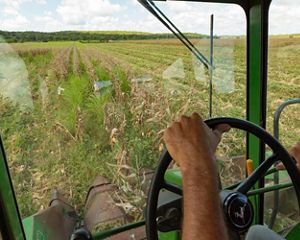 A farmer steering a tractor through fields of corn