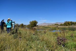 People overlook restoration efforts at Stalker Creek Preserve.