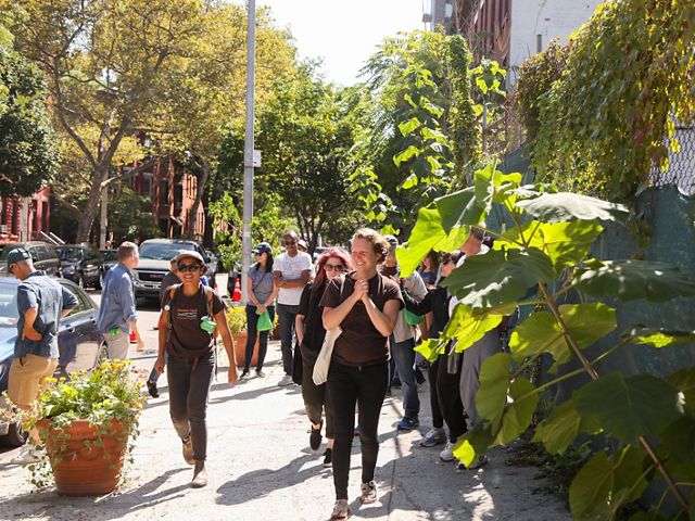 engages and empowers stewards to care for local trees in Brooklyn, New York.