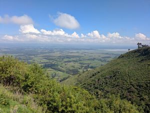 A green view from a mountain top overlooking farm land.