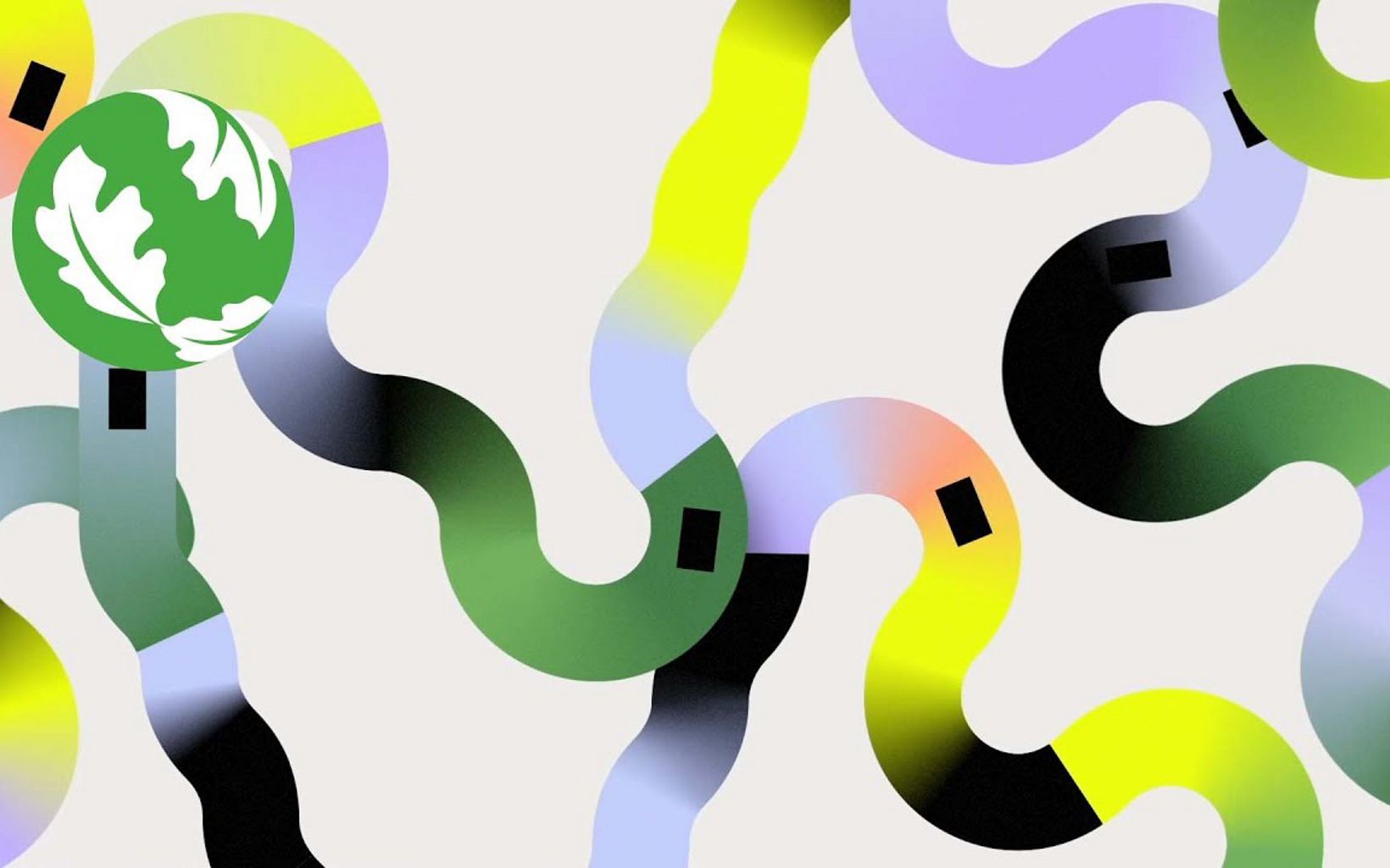colorful squiggly lines depicting carbon