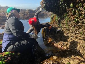 Two people looking at marine formations. 