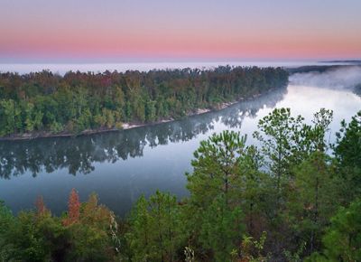 Morning at Alum Bluff, Apalachicola Bluffs and Ravines Preserve.
