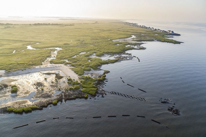 a coastline seen from above: homes in the distance, green plants stretching to the horizon, sand and dunes along the water and oyster blocks peeking out of the water offshore