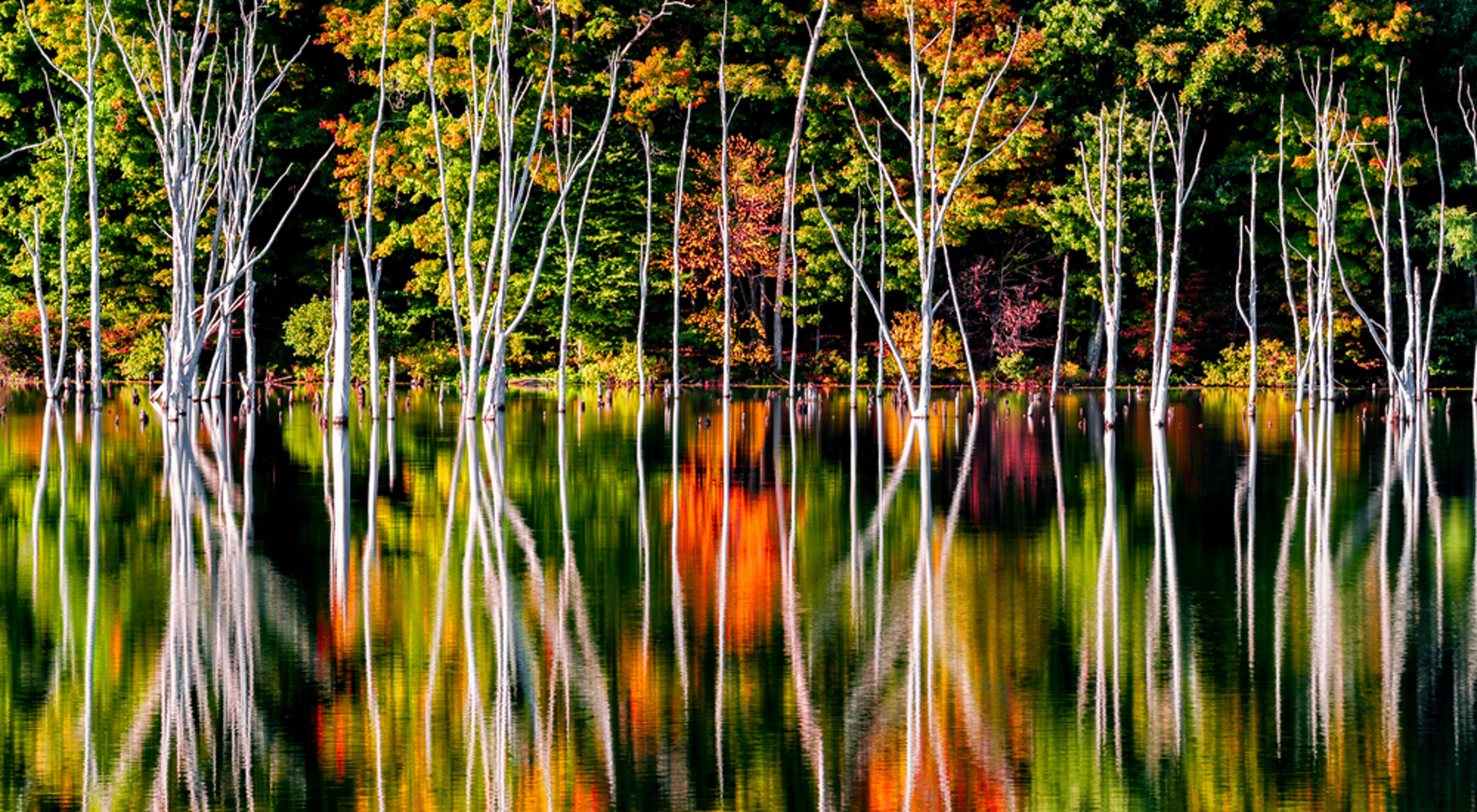 Fall foliage colors are reflected in a body of water. 