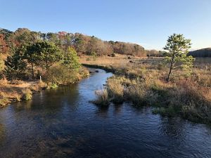 A stream winds its way through grassy wetlands with autumnal-colored trees around the edges.