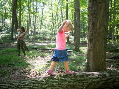 Young girl balances on a white ash trunk