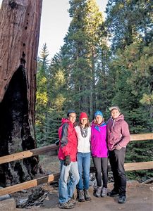 The Chan Family standing in front of a giant Sequoia.