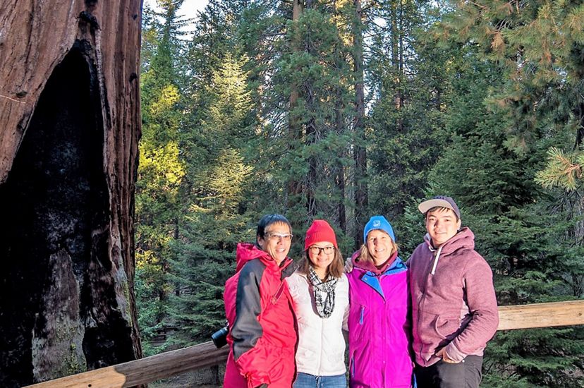 The Chan Family standing in front of a giant Sequoia.
