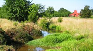 A stream flows through a meadow located next to a farm.