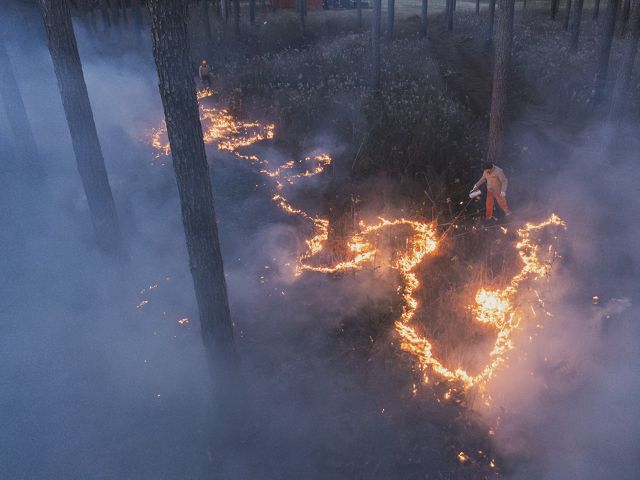 Aerial image of man at twilight setting prescribed fire.