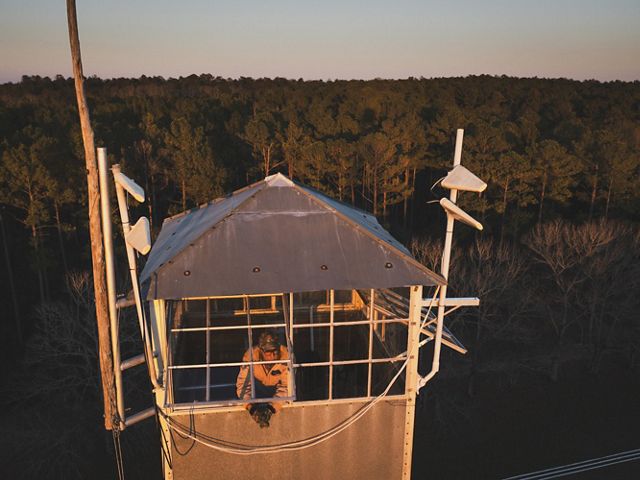 Man stands in fire tower overlooking a forest.