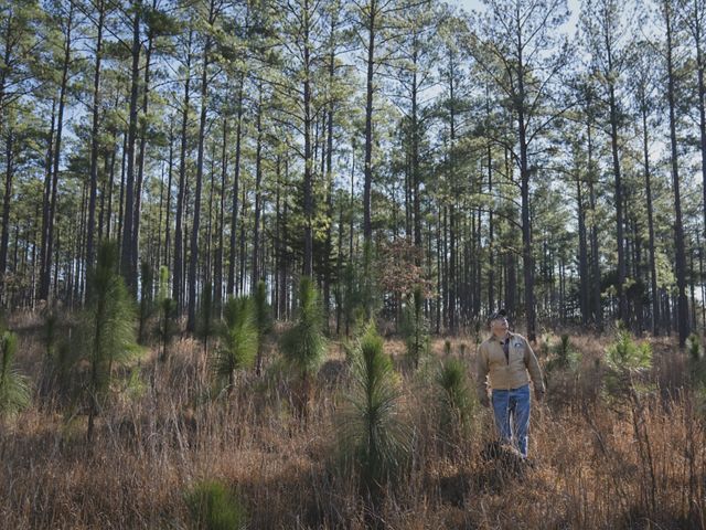 Man standing in tan jacket in a grove of young longleaf pines.
