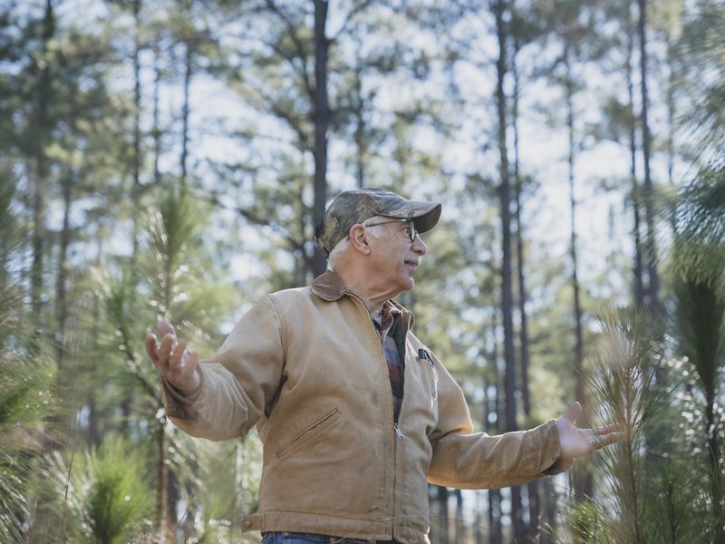Man turned sideways from the camera smiling while touching small longleaf pine.