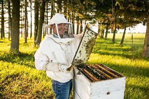 Beekeeper stands next to an active beehive.