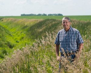 A man in a plaid shirt standing in a field of grass crops.