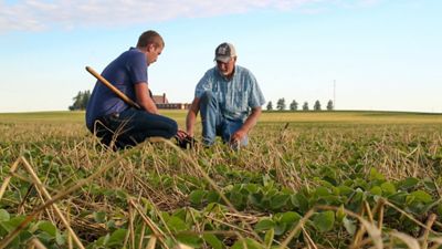 Natural Climate Solutions: How nature can fight climate change