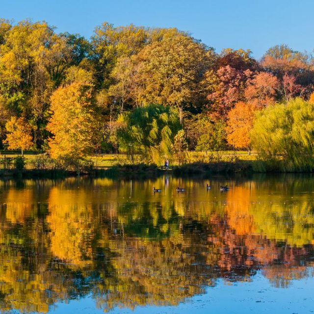 Fall colored trees line a pond their colors reflect in the blue water.