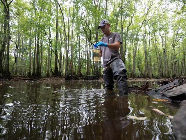 A person collects a water sample with a bottle.