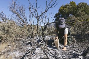 Elizabeth kneels in the ashes while collecting a sample.