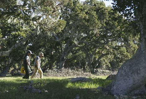 Two people walking through a grassy area surrounded by trees.