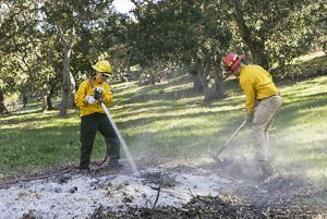 Two controlled burn practitioners in yellow jackets clean up the ashes of a controlled burn using a hose and shovel.