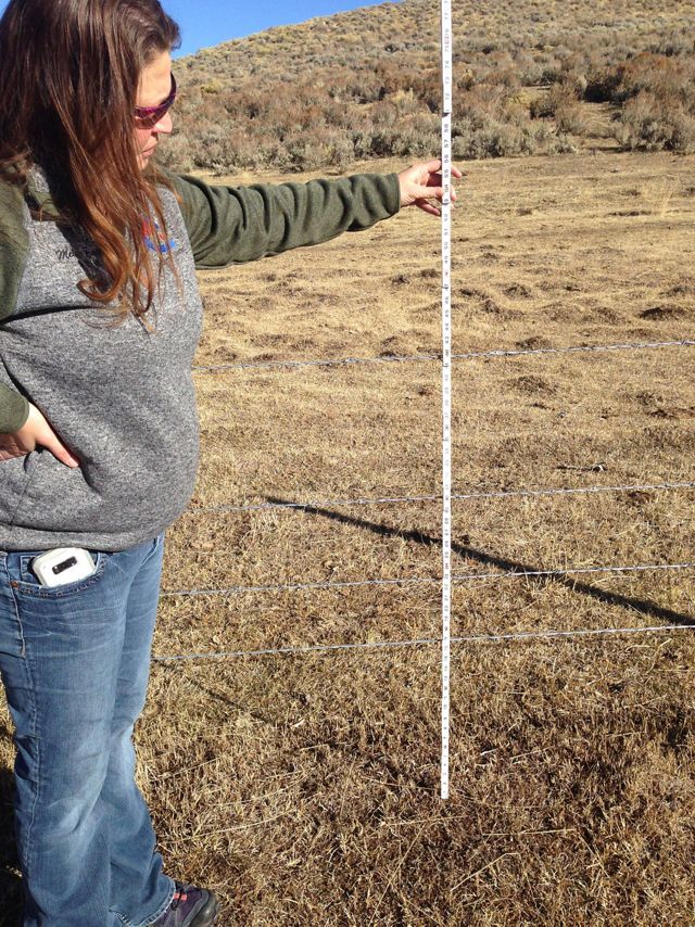 A woman holding a tape measure up to a fence. 